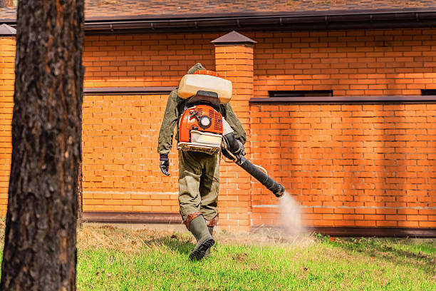 Top rated local Ant Control specialists in Algonac, MI